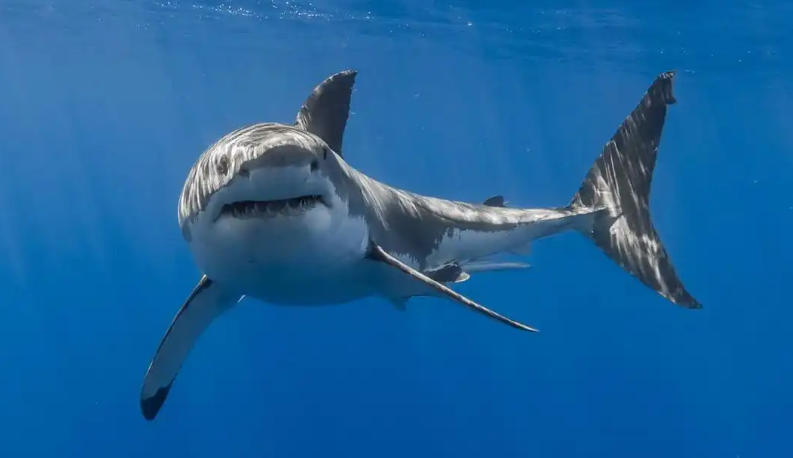 天津钟表精宇技术有限责任公司轮播图2